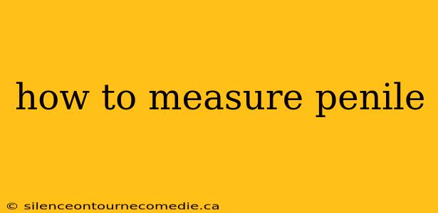 how to measure penile