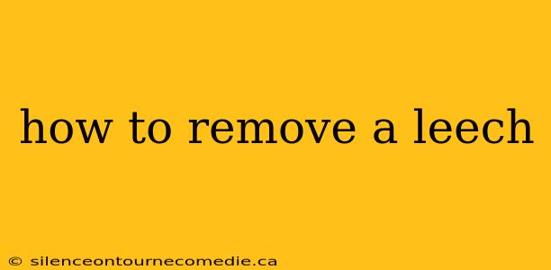 how to remove a leech