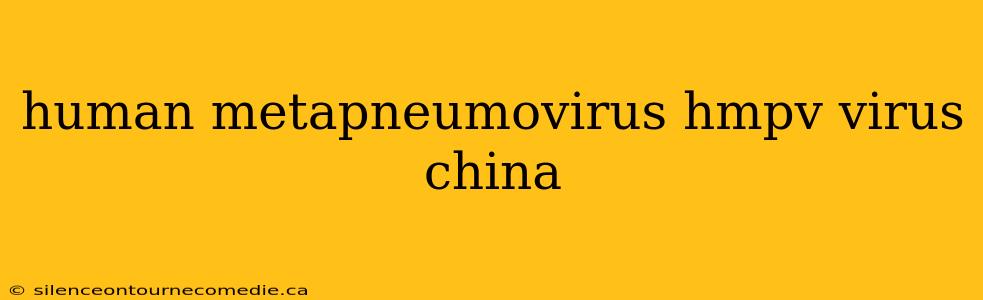 human metapneumovirus hmpv virus china