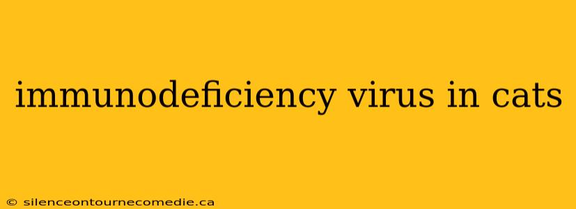 immunodeficiency virus in cats
