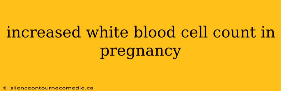 increased white blood cell count in pregnancy