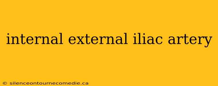 internal external iliac artery