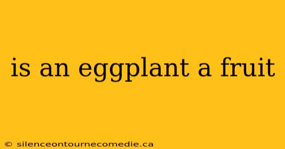 is an eggplant a fruit