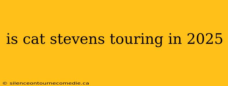 is cat stevens touring in 2025