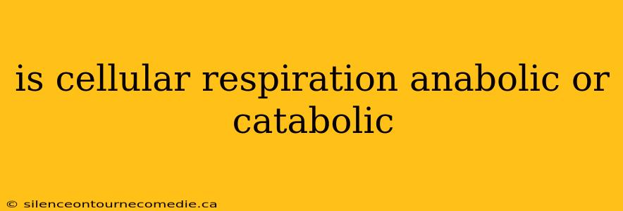 is cellular respiration anabolic or catabolic