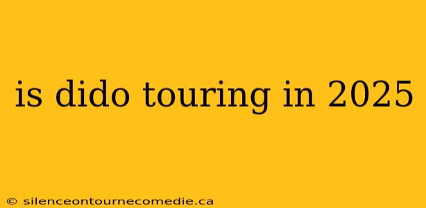 is dido touring in 2025