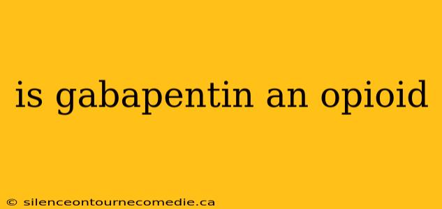 is gabapentin an opioid