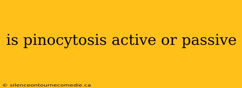 is pinocytosis active or passive