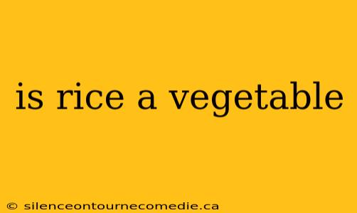 is rice a vegetable