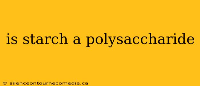 is starch a polysaccharide