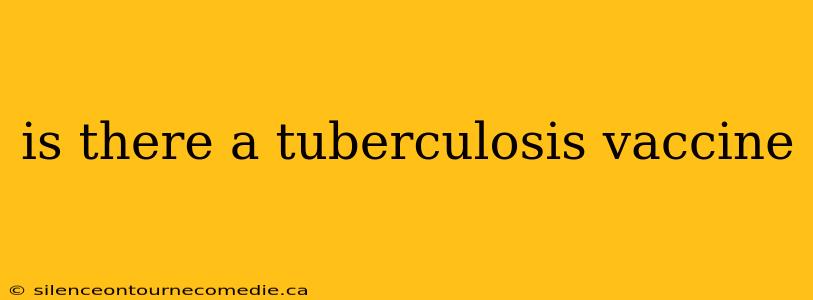 is there a tuberculosis vaccine