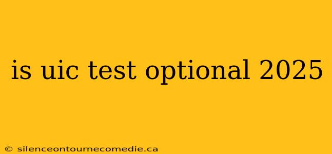 is uic test optional 2025