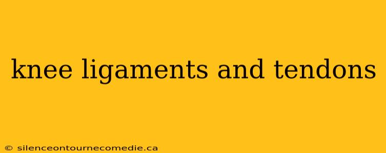 knee ligaments and tendons