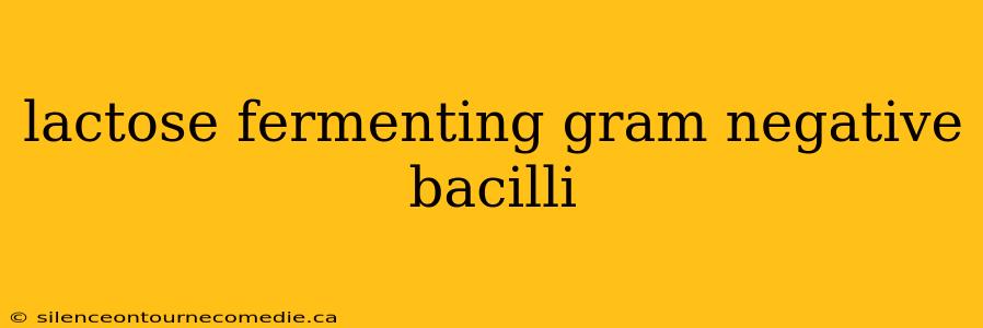 lactose fermenting gram negative bacilli