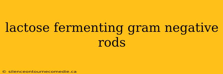 lactose fermenting gram negative rods