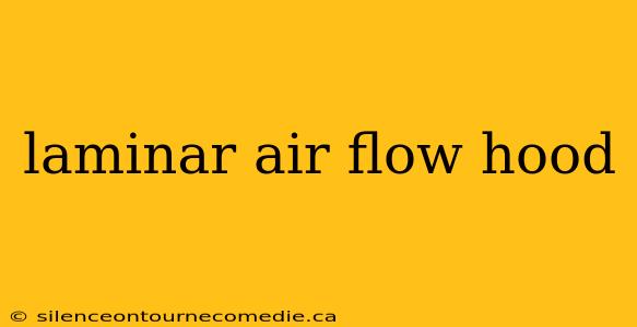 laminar air flow hood