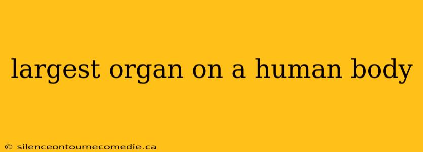largest organ on a human body