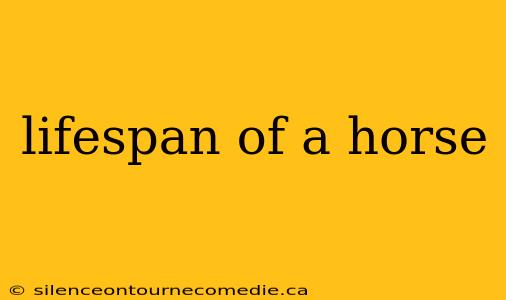 lifespan of a horse