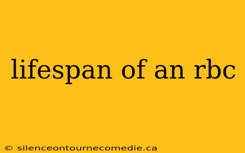 lifespan of an rbc