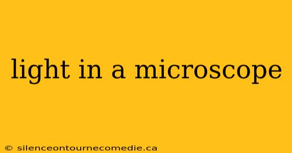 light in a microscope