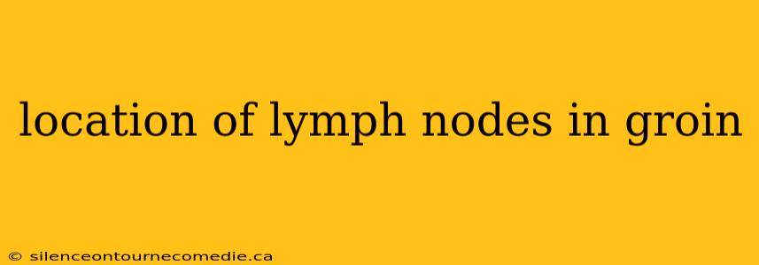 location of lymph nodes in groin