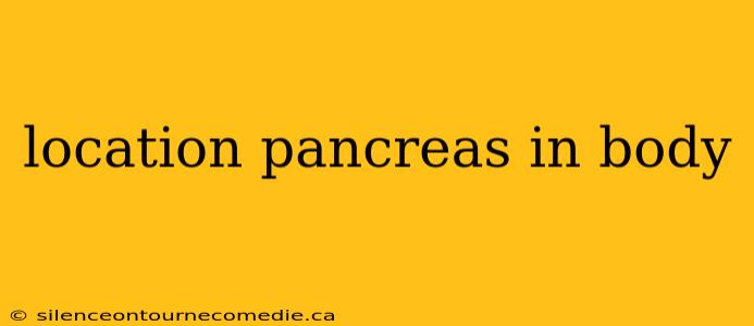 location pancreas in body