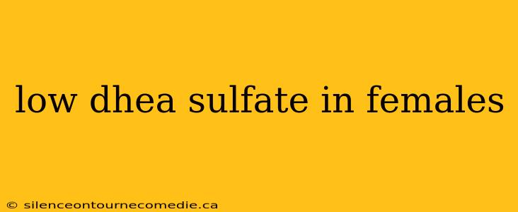 low dhea sulfate in females