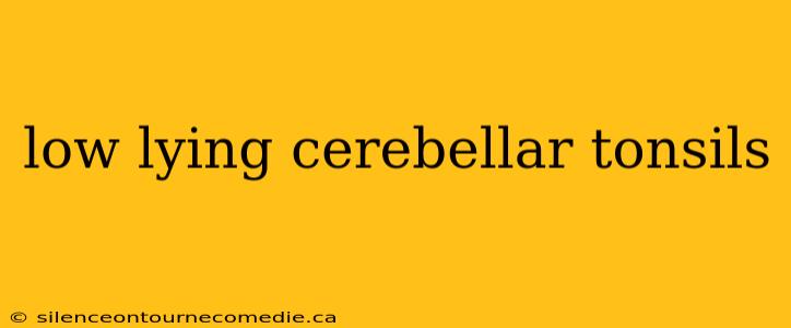 low lying cerebellar tonsils
