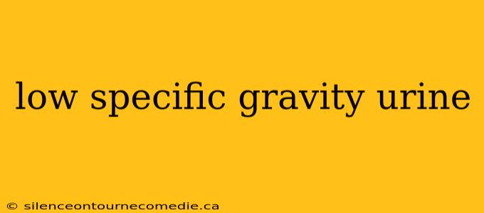 low specific gravity urine