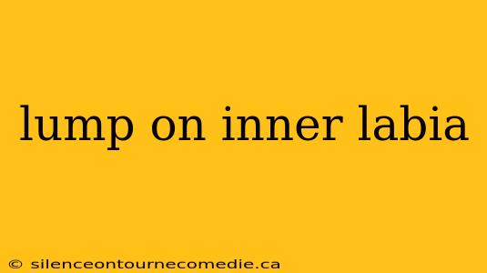 lump on inner labia