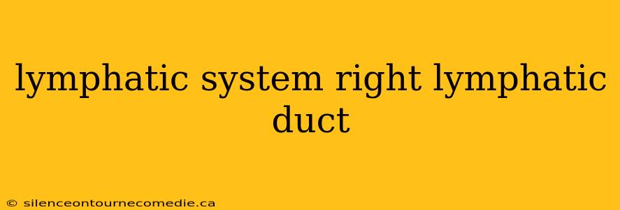 lymphatic system right lymphatic duct