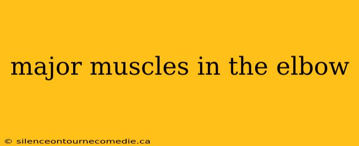 major muscles in the elbow