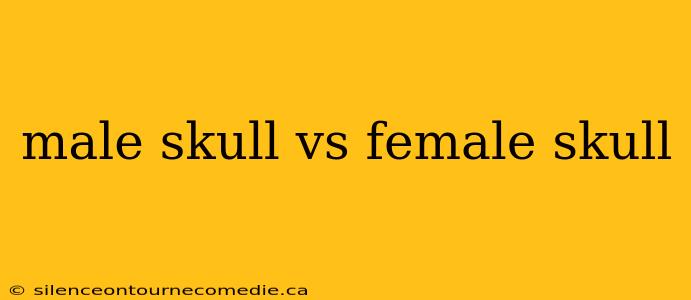 male skull vs female skull