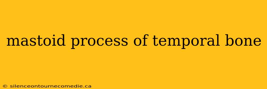 mastoid process of temporal bone
