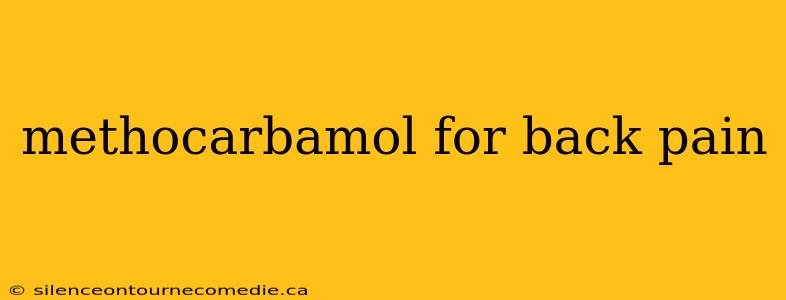methocarbamol for back pain