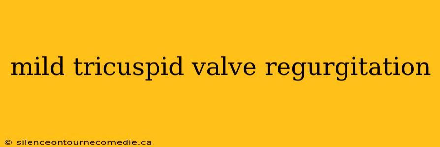 mild tricuspid valve regurgitation