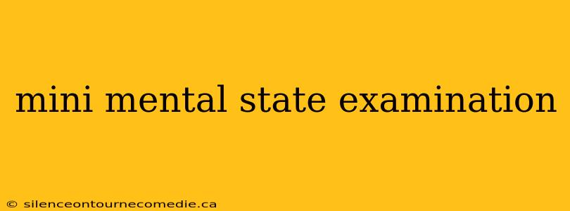mini mental state examination