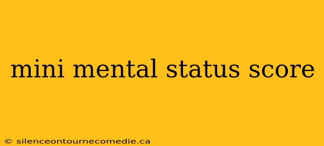 mini mental status score