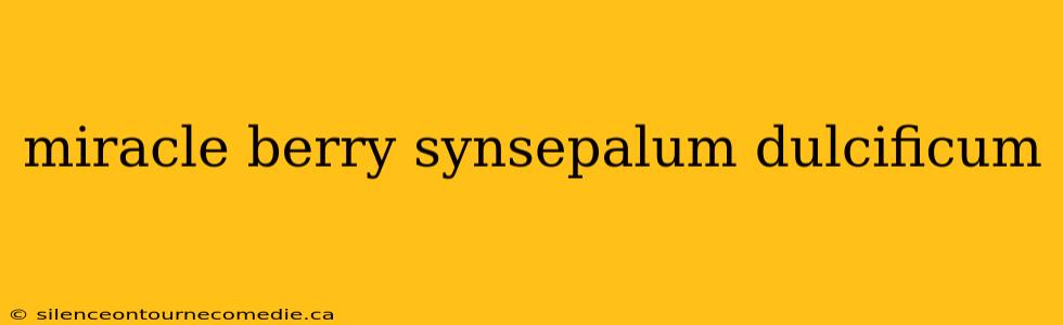 miracle berry synsepalum dulcificum
