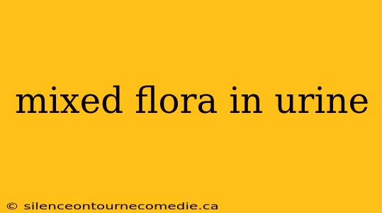 mixed flora in urine