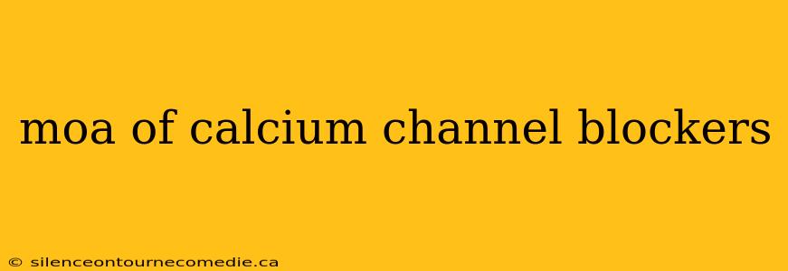 moa of calcium channel blockers
