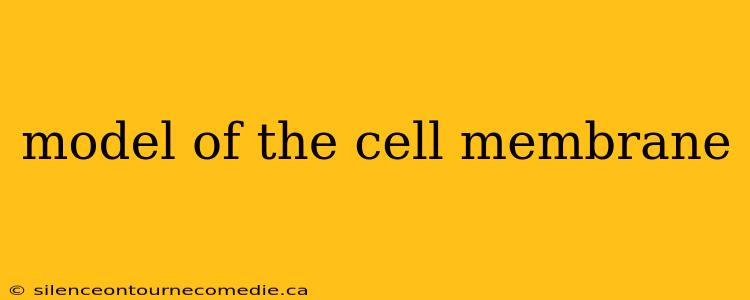 model of the cell membrane