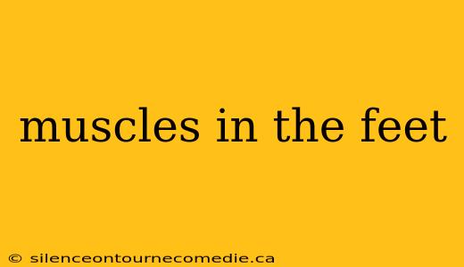 muscles in the feet