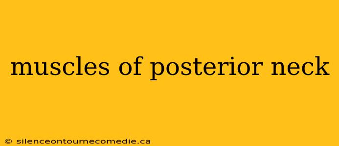 muscles of posterior neck