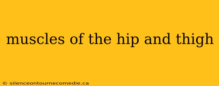 muscles of the hip and thigh