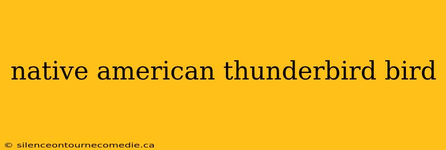 native american thunderbird bird