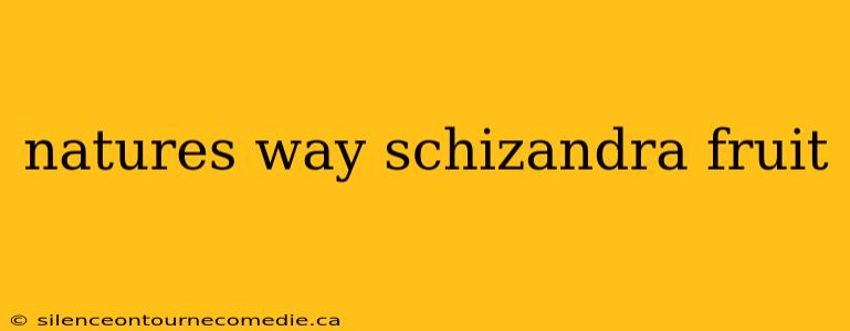 natures way schizandra fruit
