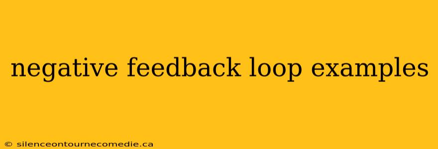negative feedback loop examples