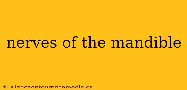 nerves of the mandible