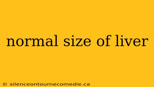 normal size of liver